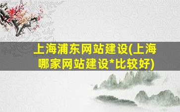 上海浦东网站建设(上海哪家网站建设*比较好)