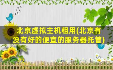 北京虚拟主机租用(北京有没有好的便宜的服务器托管)