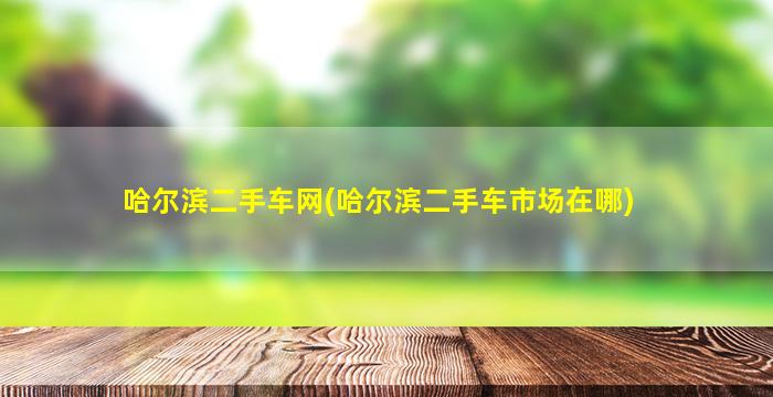 哈尔滨二手车网(哈尔滨二手车市场在哪)