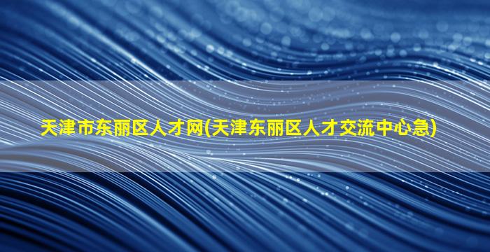 天津市东丽区人才网(天津东丽区人才交流中心急)