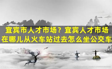 宜宾市人才市场？宜宾人才市场在哪儿从火车站过去怎么坐公交车