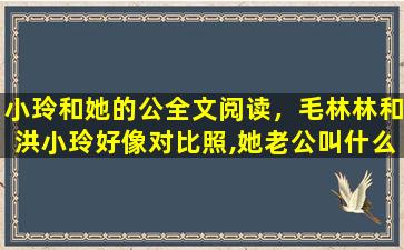 小玲和她的公全文阅读，毛林林和洪小玲好像对比照,她老公叫什么