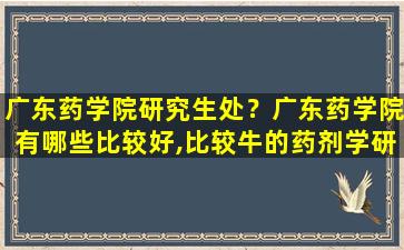 广东*学院研究生处？广东*学院有哪些比较好,比较牛的*剂学研究生导师