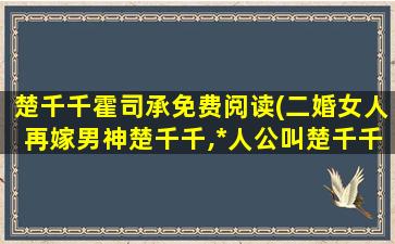 楚千千霍司承免费阅读(二婚女人再嫁男神楚千千,*人公叫楚千千的小说)
