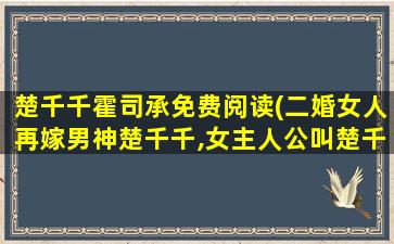 楚千千霍司承免费阅读(二婚女人再嫁男神楚千千,*人公叫楚千千的小说)