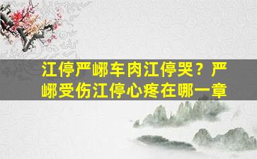 江停严峫车肉江停哭？严峫受伤江停心疼在哪一章