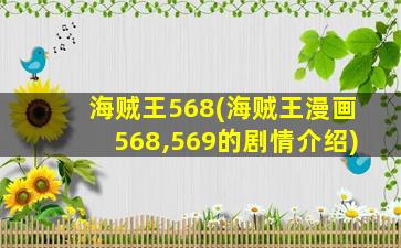 海贼王568(海贼王漫画568,569的剧情介绍)