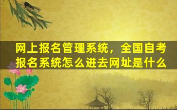 网上报名管理系统，全国自考报名系统怎么进去网址是什么