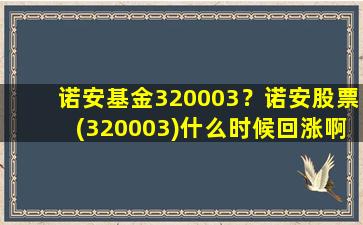 诺安基金320003？诺安股票(320003)什么时候回涨啊